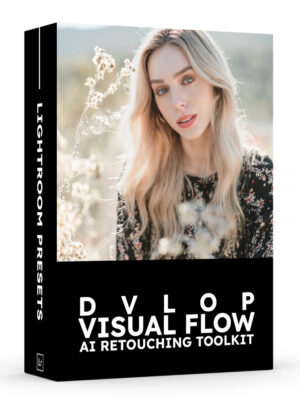 DVLOP - Visual Flow - AI Retouching Toolkit