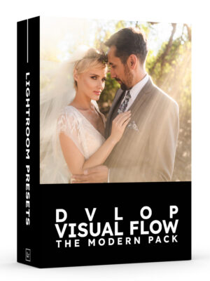 DVLOP - Visual Flow - The Modern Pack