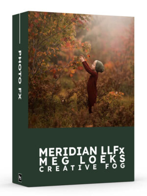 Meridian LLFx - Meg Loeks - Creative Fog